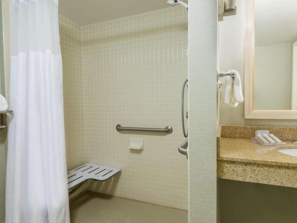 Hilton Garden Inn Orlando International Drive North : photo 5 de la chambre chambre lit queen-size avec douche - adaptée aux personnes à mobilité réduite/malentendantes