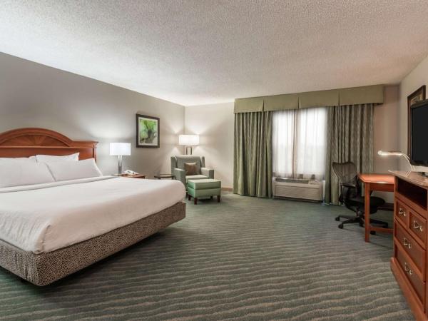 Hilton Garden Inn Orlando International Drive North : photo 2 de la chambre chambre lit king-size avec baignoire - accessible aux personnes à mobilité réduite et adaptée aux personnes malentendantes