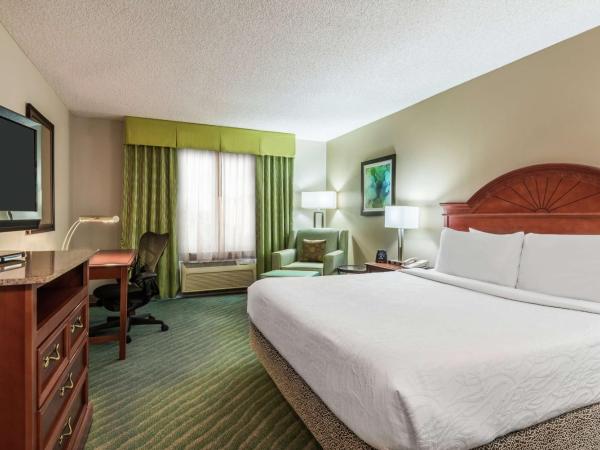 Hilton Garden Inn Orlando International Drive North : photo 1 de la chambre chambre lit king-size