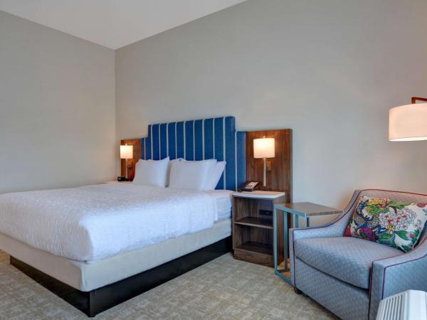 Hampton Inn & Suites Nashville Downtown Capitol View, Tn : photo 1 de la chambre chambre lit king-size