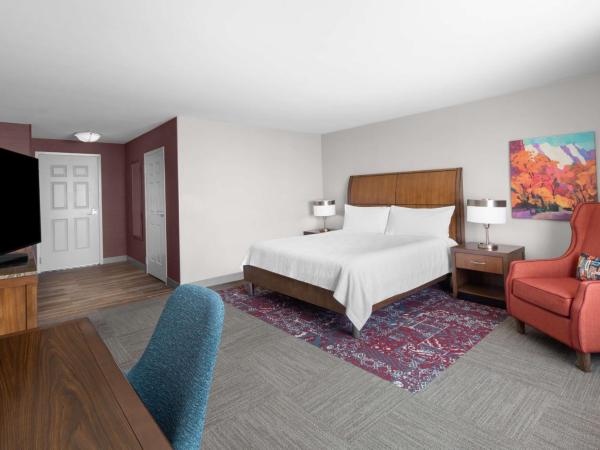 Hilton Garden Inn - Salt Lake City Airport : photo 2 de la chambre chambre lit king-size avec baignoire - accessible aux personnes à mobilité réduite et adaptée aux personnes malentendantes
