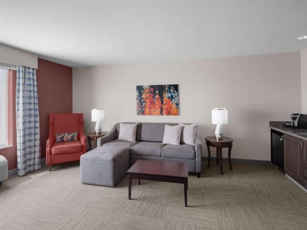 Hilton Garden Inn - Salt Lake City Airport : photo 4 de la chambre suite 1 chambre lit king-size avec canapé-lit