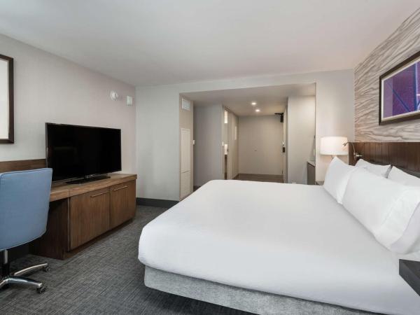Hilton Garden Inn Ottawa Downtown : photo 1 de la chambre chambre lit king-size avec douche accessible en fauteuil roulant - adaptée aux personnes à mobilité réduite/malentendantes 