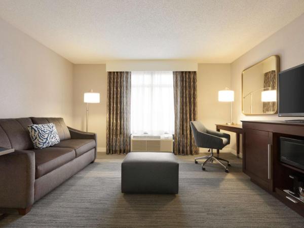 Hampton Inn & Suites Nashville-Downtown : photo 3 de la chambre chambre bureau king avec canapé-lit