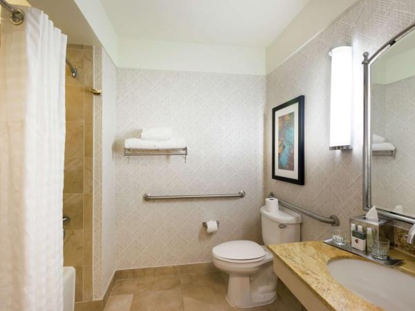 DoubleTree by Hilton Hotel & Suites Houston by the Galleria : photo 5 de la chambre chambre lit queen-size avec baignoire - accessible aux personnes à mobilité réduite/non-fumeurs 