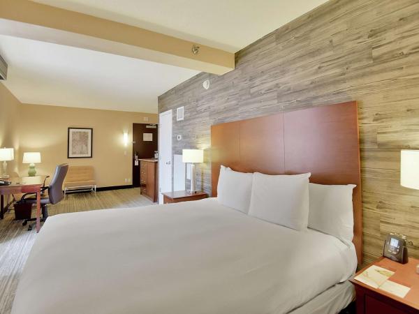DoubleTree by Hilton Hotel & Suites Houston by the Galleria : photo 3 de la chambre chambre lit king-size