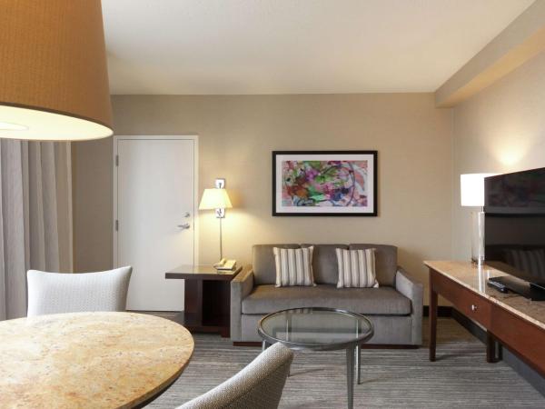DoubleTree by Hilton Hotel & Suites Houston by the Galleria : photo 4 de la chambre chambre lit queen-size avec baignoire - accessible aux personnes à mobilité réduite/non-fumeurs 