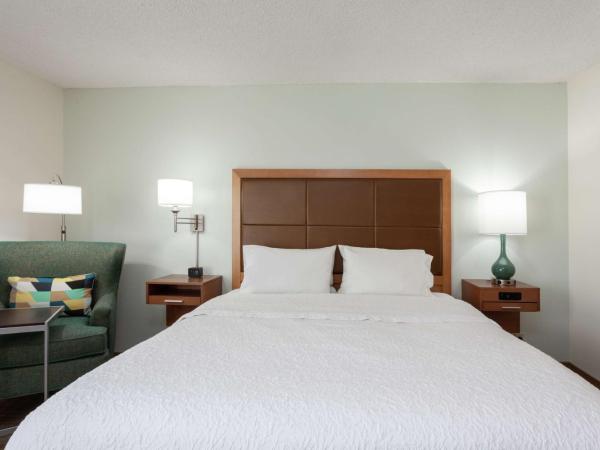 Hampton Inn Orlando-Convention Center International Drive Area : photo 2 de la chambre chambre lit king-size - non-fumeurs