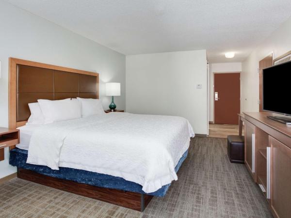 Hampton Inn Orlando-Convention Center International Drive Area : photo 3 de la chambre chambre lit king-size - non-fumeurs