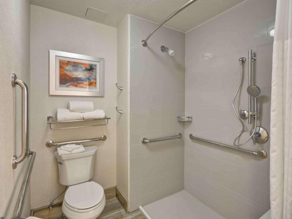 Homewood Suites by Hilton San Antonio Northwest : photo 6 de la chambre suite lit king-size avec douche accessible en fauteuil roulant - adaptée aux personnes à mobilité réduite/non-fumeurs