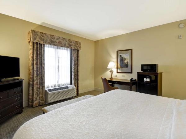 Hampton Inn & Suites Savannah Historic District : photo 4 de la chambre chambre lit king-size - non-fumeurs