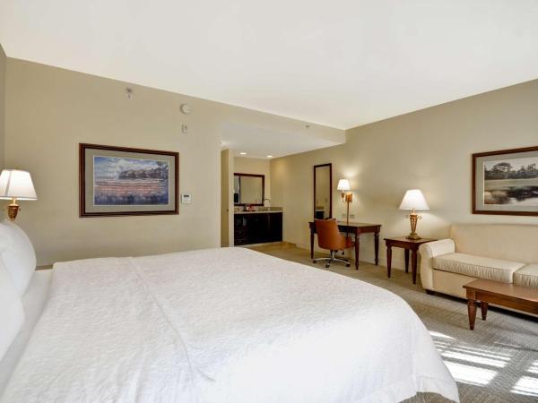 Hampton Inn & Suites Savannah Historic District : photo 1 de la chambre suite studio lit king-size avec canapé-lit – non-fumeurs