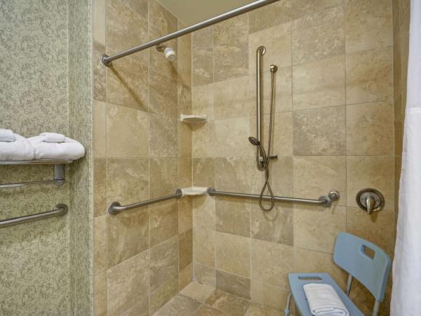 Hampton Inn & Suites Savannah Historic District : photo 7 de la chambre king studio with roll-in shower - mobility access/non-smoking