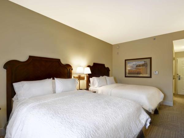Hampton Inn & Suites Savannah Historic District : photo 2 de la chambre chambre 2 lits queen-size - non-fumeurs