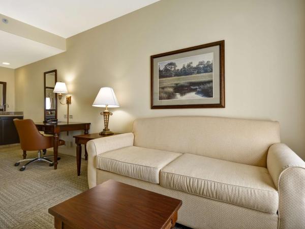 Hampton Inn & Suites Savannah Historic District : photo 4 de la chambre suite studio lit king-size avec canapé-lit – non-fumeurs