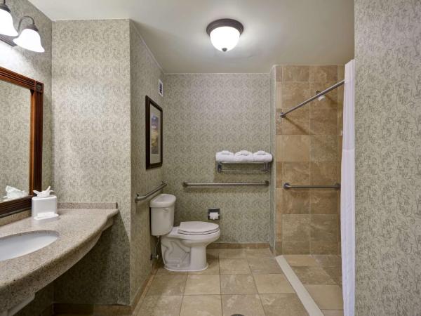 Hampton Inn & Suites Savannah Historic District : photo 8 de la chambre king studio with roll-in shower - mobility access/non-smoking