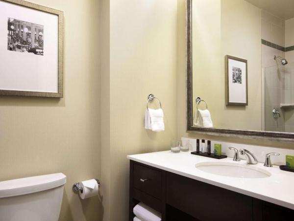 Embassy Suites Saint Louis - Downtown : photo 10 de la chambre suite 1 chambre lit king-size - non-fumeurs