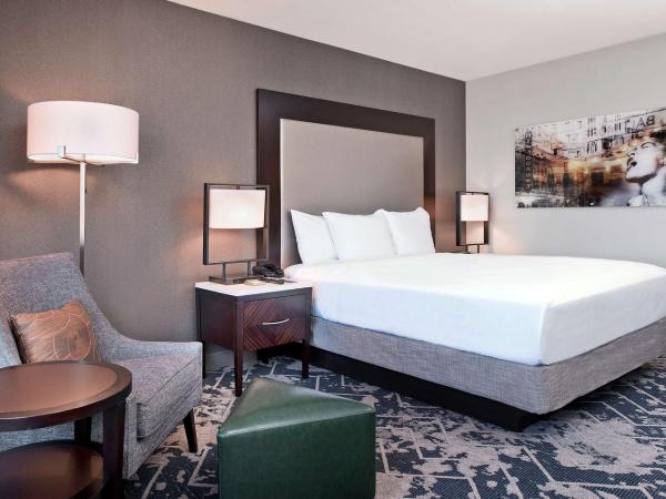 Hilton Baltimore Inner Harbor : photo 1 de la chambre chambre lit king-size avec douche accessible en fauteuil roulant - adaptée aux personnes à mobilité réduite
