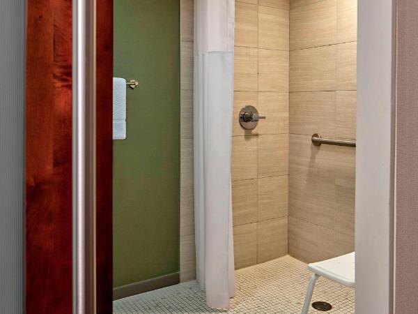San Antonio Marriott Northwest Medical Center : photo 6 de la chambre chambre lit king-size avec canapé-lit