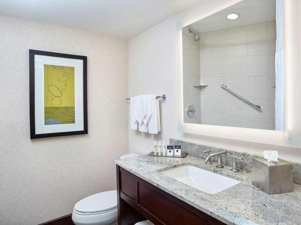 DoubleTree by Hilton Washington DC - Crystal City : photo 6 de la chambre chambre double avec 2 lits doubles - vue sur ville