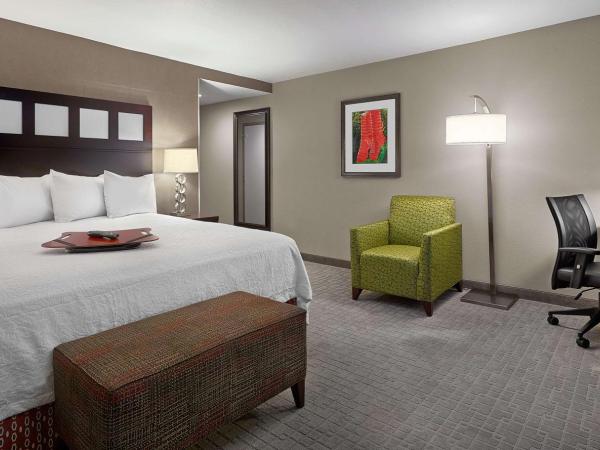 Hampton Inn by Hilton Calgary Airport North : photo 1 de la chambre chambre lit king-size - non-fumeurs