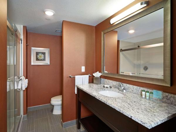 Hampton Inn by Hilton Calgary Airport North : photo 2 de la chambre chambre lit king-size - non-fumeurs