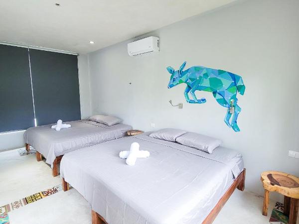 Maui Hostels Tulum : photo 4 de la chambre chambre deluxe avec 2 lits queen-size