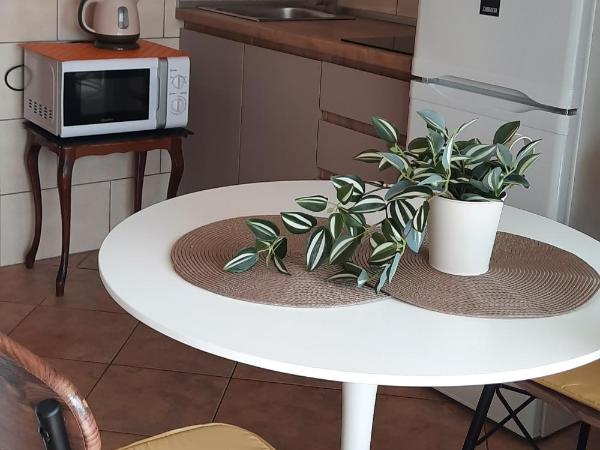 Apartments and rooms by the sea Brodarica, Sibenik - 21536 : photo 5 de la chambre studio avec balcon et vue sur la mer