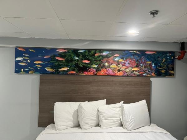 Red Roof PLUS & Suites Virginia Beach - Seaside : photo 3 de la chambre chambre lit king-size supérieure avec cuisine - non-fumeurs