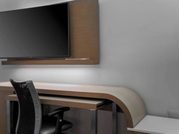 Courtyard Tampa Brandon : photo 4 de la chambre chambre lit king-size avec canapé-lit