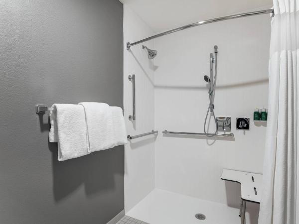 Courtyard Tampa Brandon : photo 7 de la chambre chambre lit king-size avec canapé-lit