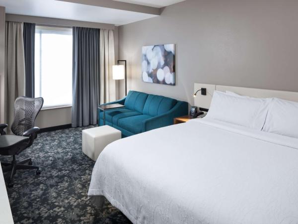 Hilton Garden Inn Nashville Vanderbilt : photo 2 de la chambre chambre lit king-size avec canapé-lit - non-fumeurs