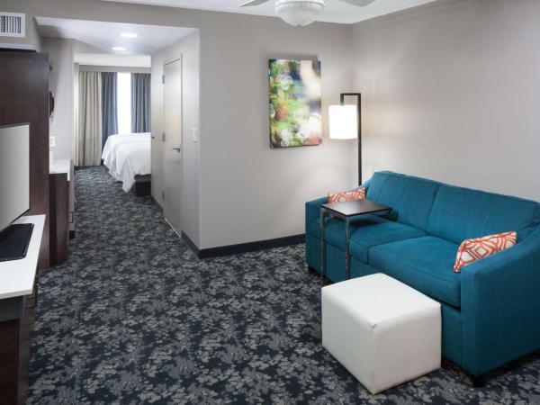 Hilton Garden Inn Nashville Vanderbilt : photo 2 de la chambre suite junior lit king-size - non-fumeurs