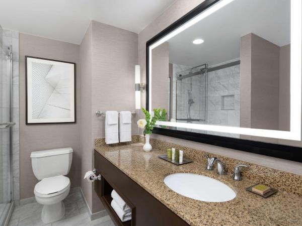 Hilton Indianapolis Hotel & Suites : photo 5 de la chambre king room with fridge