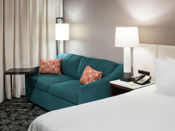 Hilton Garden Inn Sacramento/South Natomas : photo 3 de la chambre chambre lit king-size avec canapé-lit - non-fumeurs