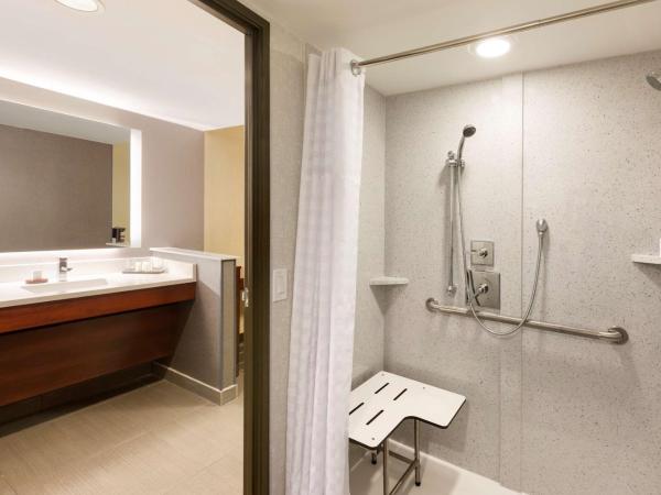 Embassy Suites by Hilton Atlanta Airport : photo 8 de la chambre king suite with roll-in shower - mobility and hearing access