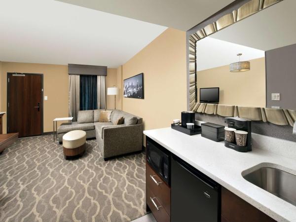 Embassy Suites by Hilton Atlanta Airport : photo 4 de la chambre suite 2 pièces avec lit king-size - non-fumeurs