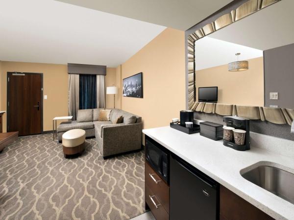 Embassy Suites by Hilton Atlanta Airport : photo 8 de la chambre suite 2 pièces avec lit king-size - non-fumeurs