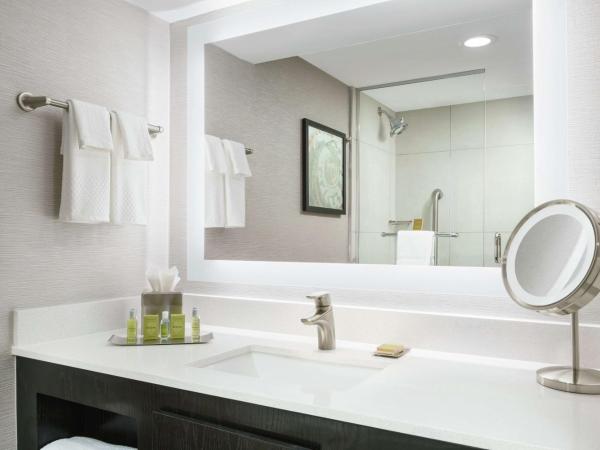 DoubleTree by Hilton Orlando Airport Hotel : photo 4 de la chambre suite lit king-size junior avec balcon - non-fumeurs