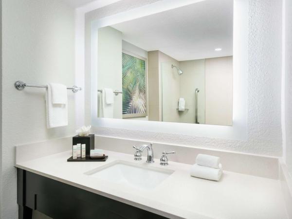 Embassy Suites by Hilton Orlando Lake Buena Vista Resort : photo 3 de la chambre suite lit king-size