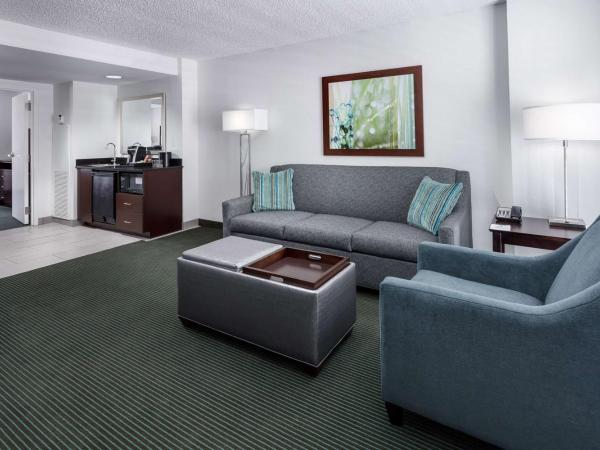 Embassy Suites by Hilton Orlando Lake Buena Vista Resort : photo 1 de la chambre chambre lit king-size avec douche accessible en fauteuil roulant -adaptée aux personnes à mobilité réduite/malentendantes - non-fumeurs