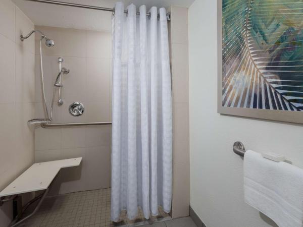 Embassy Suites by Hilton Orlando Lake Buena Vista Resort : photo 2 de la chambre chambre lit king-size avec douche accessible en fauteuil roulant -adaptée aux personnes à mobilité réduite/malentendantes - non-fumeurs