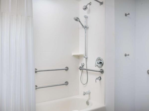 Hilton Garden Inn Apopka City Center, Fl : photo 4 de la chambre chambre lit king-size avec baignoire accessible aux personnes à mobilité réduite