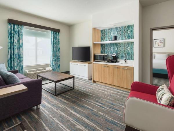Hilton Garden Inn Apopka City Center, Fl : photo 3 de la chambre suite 1 chambre lit king-size avec canapé-lit