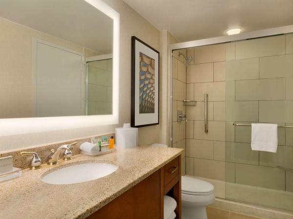 Hilton Chicago Magnificent Mile Suites : photo 3 de la chambre suite studio - 2 lits doubles