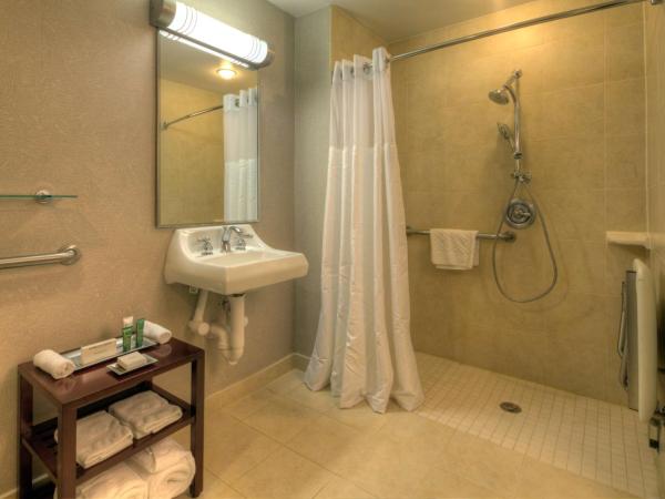 Hilton Houston Westchase : photo 3 de la chambre chambre lit king-size avec douche accessible en fauteuil roulant - adaptée aux personnes à mobilité réduite/malentendantes 