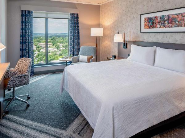 Hilton Garden Inn Austin University Capitol District : photo 2 de la chambre chambre lit king-size avec vue sur la ville