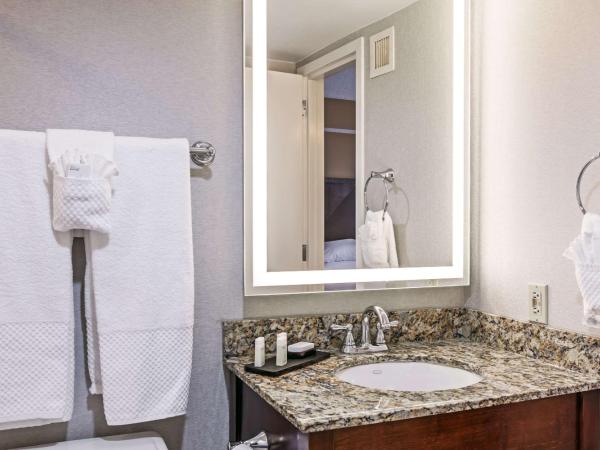 Embassy Suites by Hilton Dallas Market Center : photo 4 de la chambre chambre exécutive lit king-size - non-fumeurs