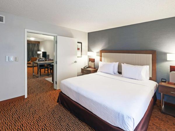 Embassy Suites by Hilton Dallas Market Center : photo 3 de la chambre chambre lit king-size - accessible aux personnes à mobilité réduite - non-fumeurs 
