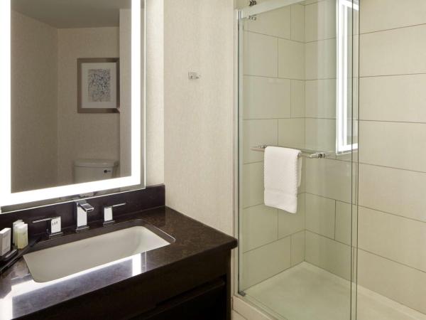 Embassy Suites by Hilton Atlanta Galleria : photo 3 de la chambre suite premium lit king-size